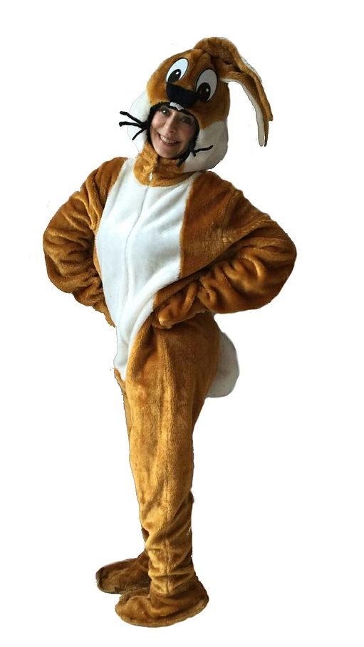 Costume de lapin