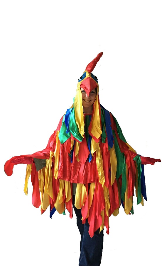 Costume de coq